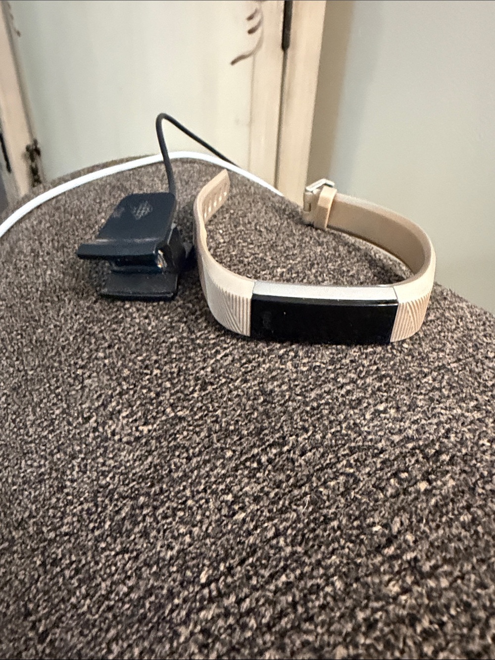 fitbit Beige/Tan Fitness Tracker with Charging Clip